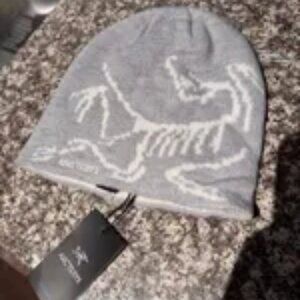 Arc'teryx Bird Head Toque Orca Grey Beanie